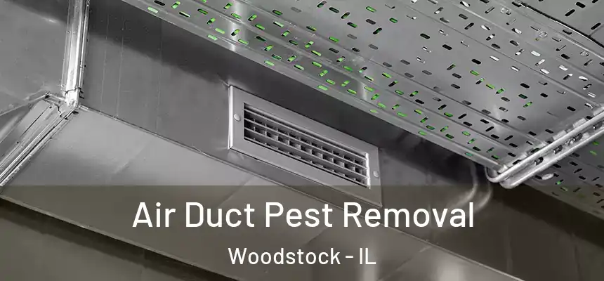 Air Duct Pest Removal Woodstock - IL