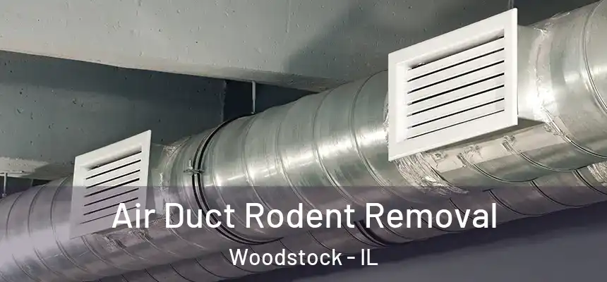 Air Duct Rodent Removal Woodstock - IL
