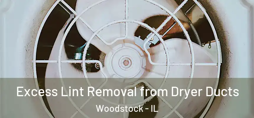 Excess Lint Removal from Dryer Ducts Woodstock - IL