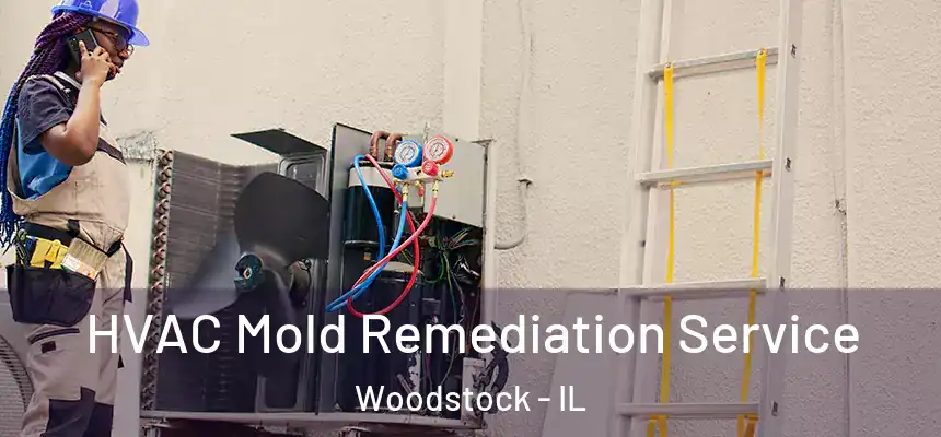  HVAC Mold Remediation Service Woodstock - IL