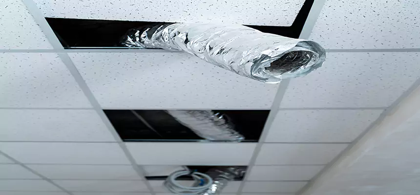 Affordable HVAC Sanitizing After Pest Removal in Woodstock