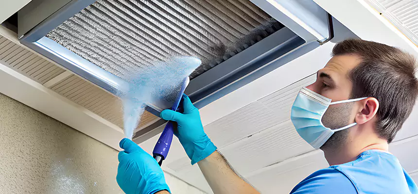 Proactive Dryer Vent & Auxiliary Duct Pollen Cleanup in Woodstock, IL