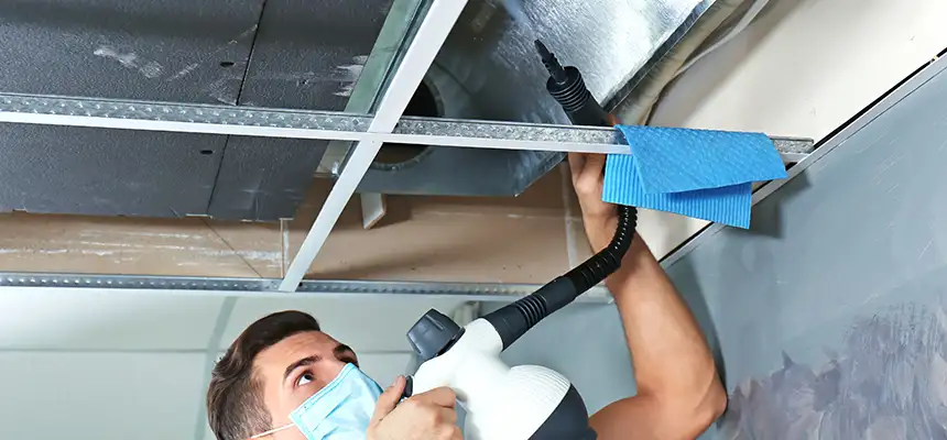 Our Air Duct Rodent Removal Services in Woodstock, IL