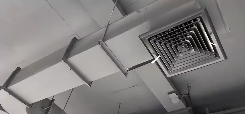 Restorative Allergy Relief Vent Cleaning – Coil, Blower & Housing Detail in Woodstock