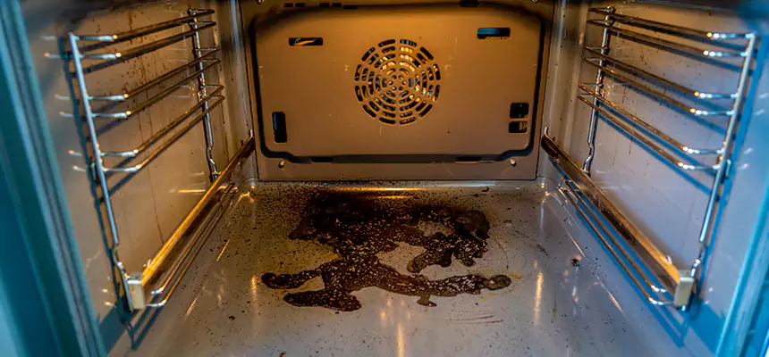 Our Dryer Vent Mold Cleaning Services in Woodstock, IL