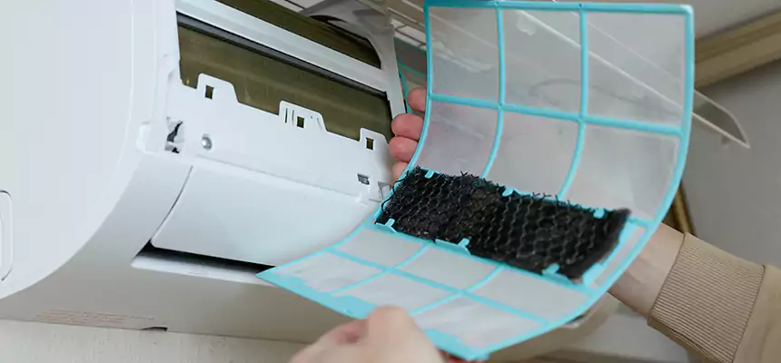 Gentle Ductwork Odor-Control Pet Dander Duct Cleaning in Woodstock, IL