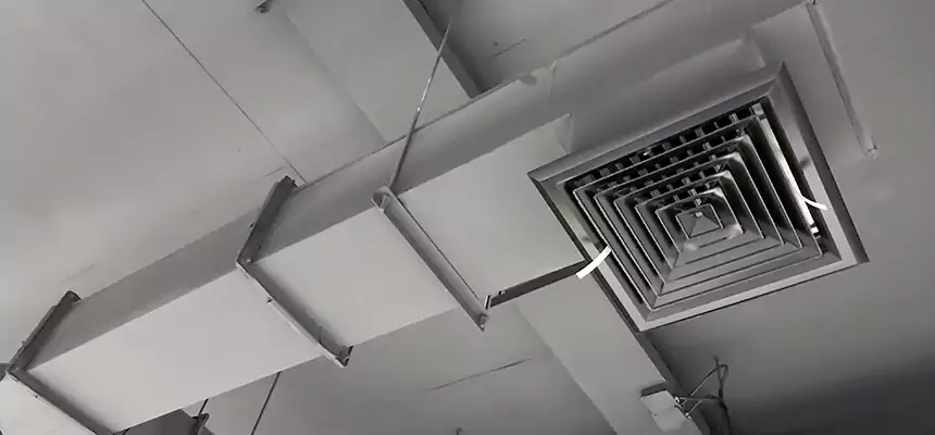 Our Rodent Droppings In Vents Services in Woodstock, IL