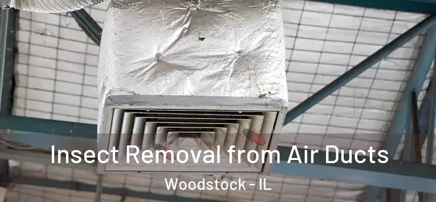 Insect Removal from Air Ducts Woodstock - IL