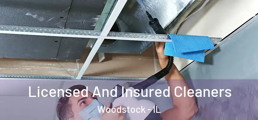  Licensed And Insured Cleaners Woodstock - IL