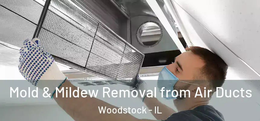 Mold & Mildew Removal from Air Ducts Woodstock - IL