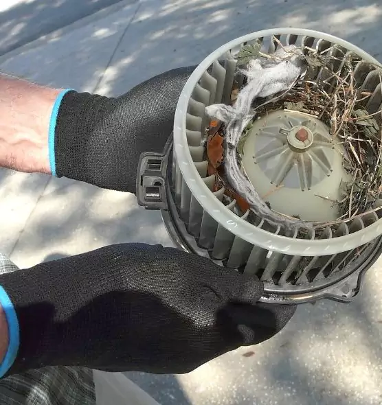 About Air Duct Rat Removal in Woodstock, IL