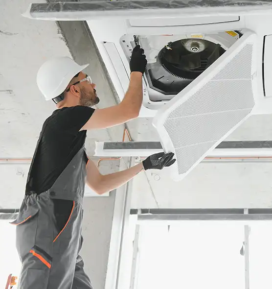 About Air Duct Rodent Removal in Woodstock, IL