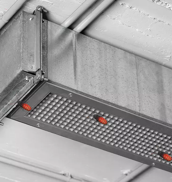 Affordable Insect Removal from Air Ducts in Woodstock, IL