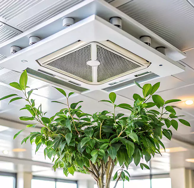 Why Homeowners & Businesses Trust Us in Woodstock, IL