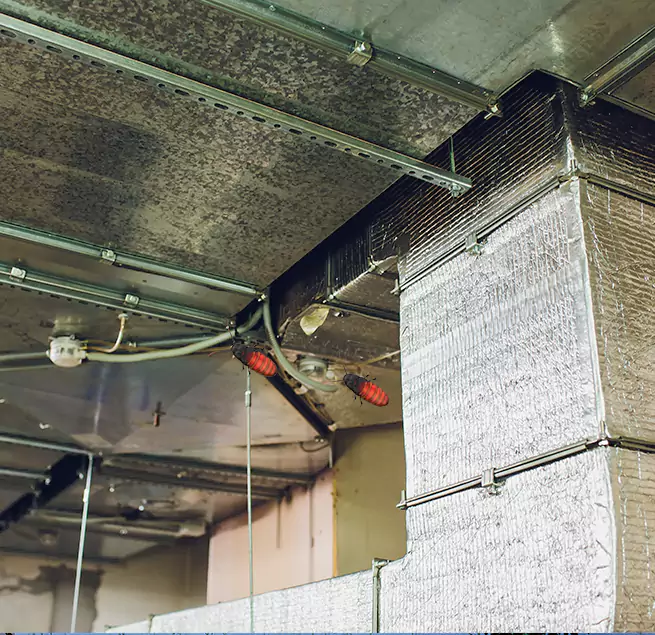 Why Homeowners & Businesses Trust Us Woodstock, IL?